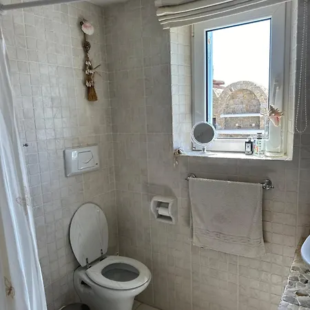 Cycladique - Pres De Panormos Apartmán